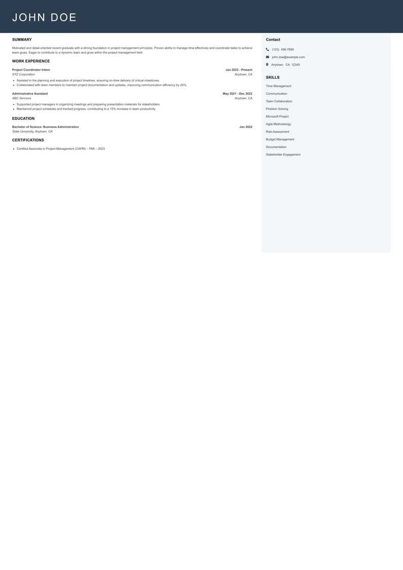 Entry Level Project Manager Resume Example