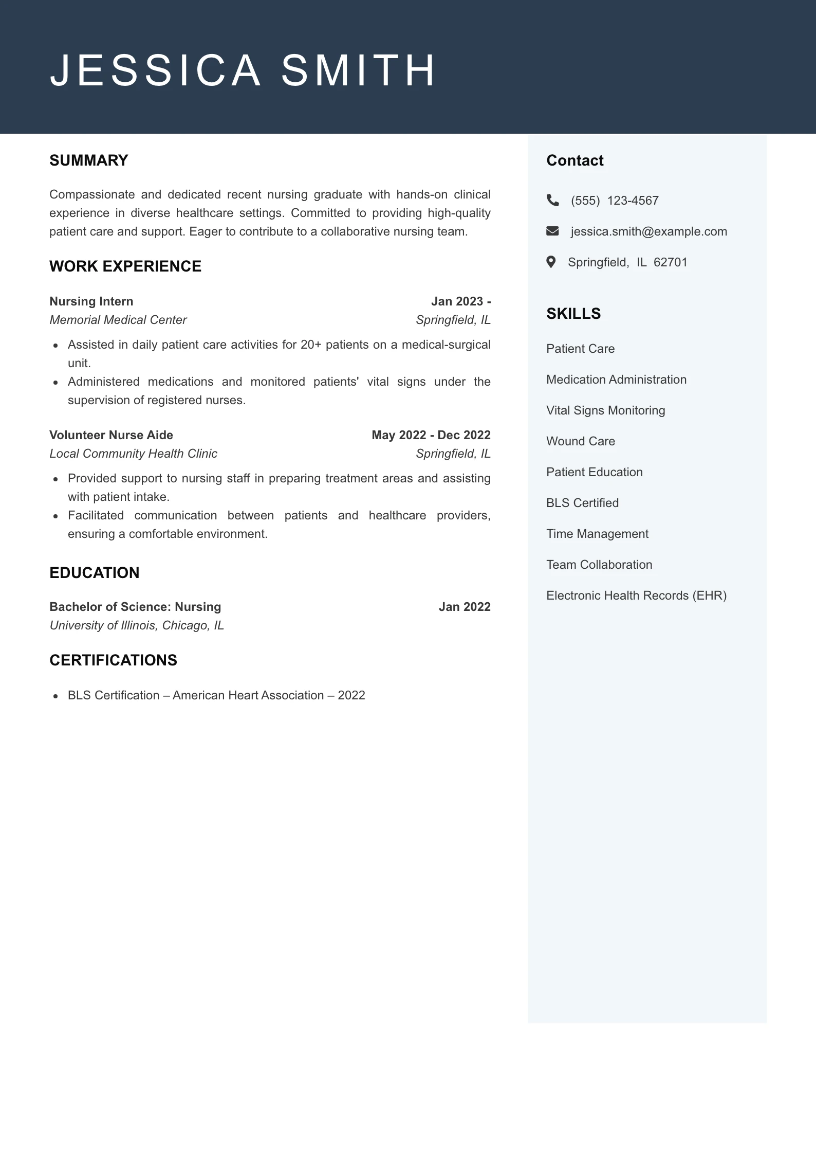 Entry Level Registered Nurse Resume Example