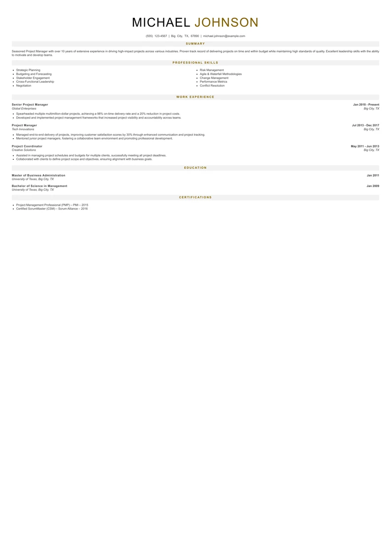 Senior Level Project Manager Resume Example